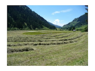 Heuernte im Untertal