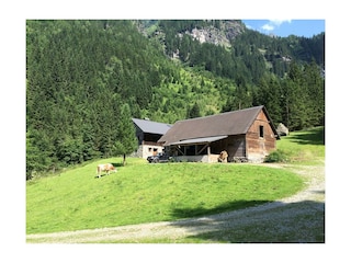 Unsere Alm im Untertal