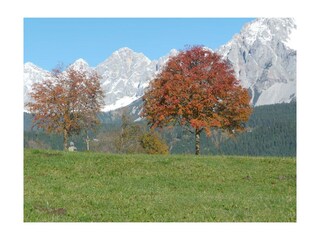 Der Blick zum Dachstein