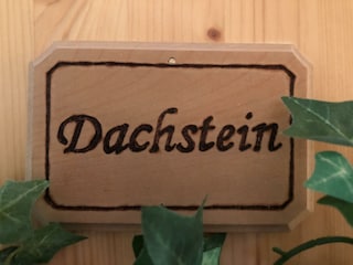 Appartement Dachstein im Untergeschoß
