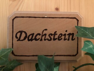 Appartement Dachstein im Untergeschoß