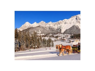 Pferdeschlitten (1)(c)Photo-Austria Michael Simonl