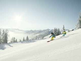 Hochwurzen2_Schladming-Dachstein©Peter Burgstaller