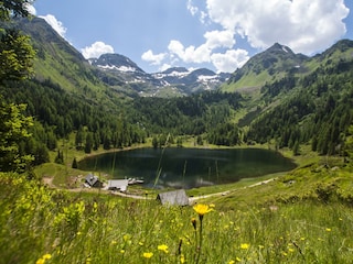 Duisitzkarsee im Sommer 003 © Gerhard Pilz (2016)