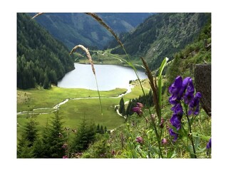 Riesachsee  im Untertal