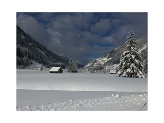 Untertal (2)