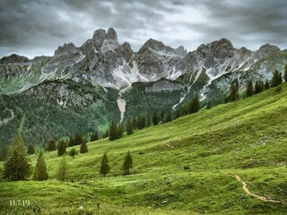 Bischofsmütze by Mara