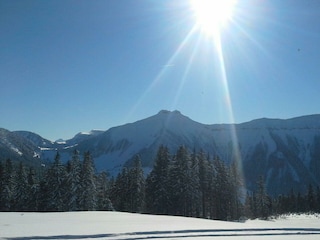 Unsere Heimat / Umgebung