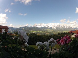 Appartements Wilma Sommer 2014 002