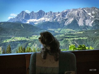 Aussicht vom Balkon (4)
