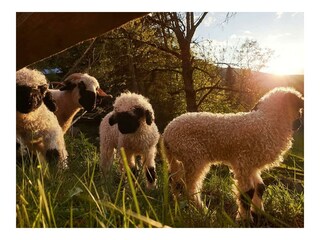 IMG_20210530_211357_833