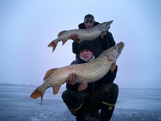 Good pike in winter