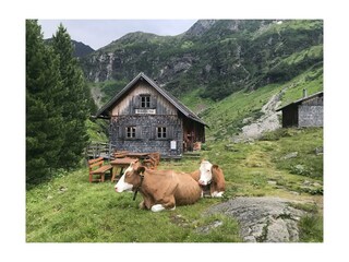 IMG_2115