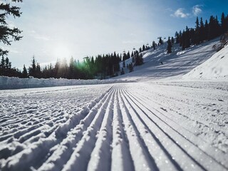 Ski