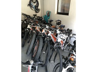 Fahrradverleih gratis