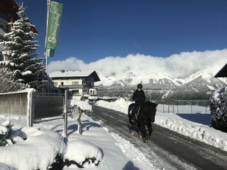 ein kleiner Winter-Ausritt