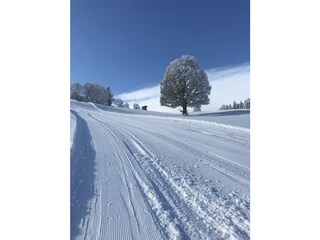 Abfahrt bis vor die Haustüre