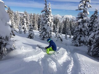 Pulverschnee Schladming-Dachstein