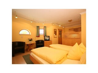 Appartamento Schladming Caratteristiche 15