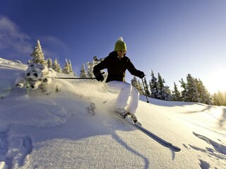Ski15_(c)Schladming-Dachstein