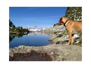 10462547_1441950756065333_5468239474453450885_n