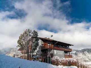 EHJ_Winter (5)