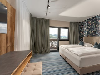 EHJ_DACHSTEIN_5