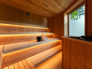 EHJ Wellness 20