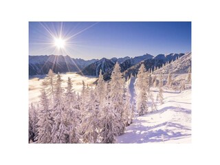 Winterwelt_Hochwurzen