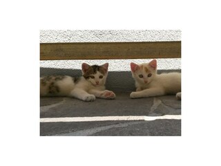 20130718_130946