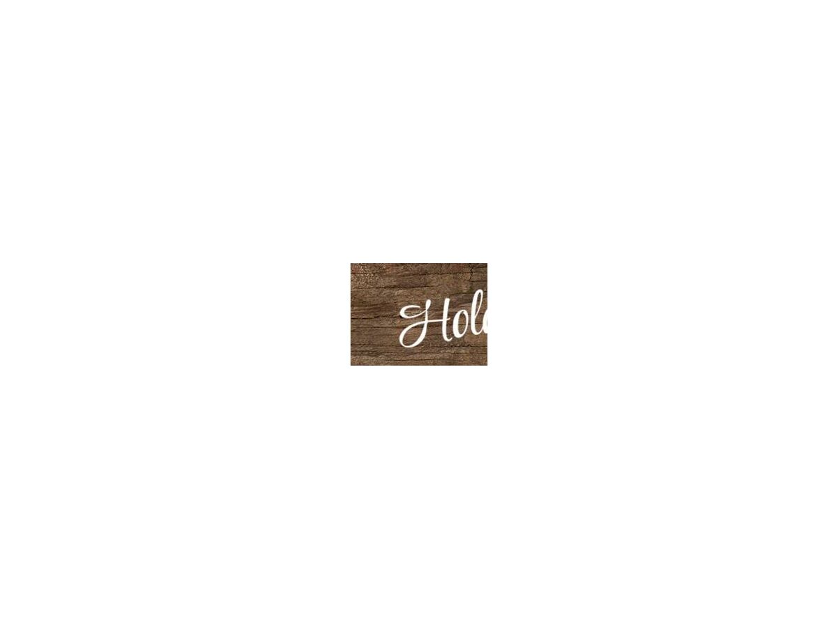 Logo Holdhof