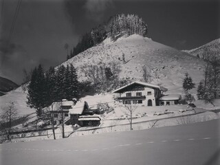 IMG_20190111_123603_903