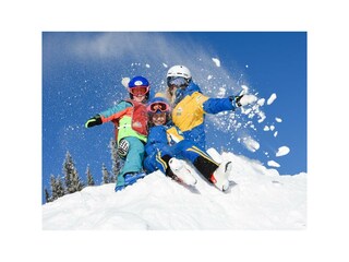 shooting-star.at-9460