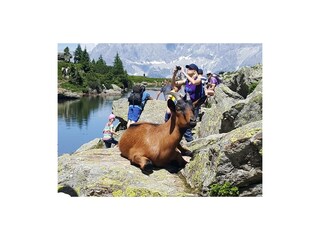 Spiegelsee