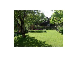 Blick in den Garten