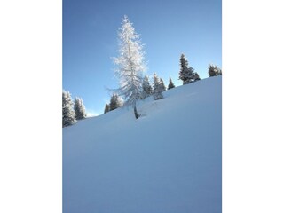 Spuren im Schnee