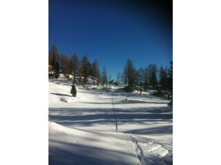 Spuren im Schnee