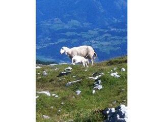 Blick ins Tal
