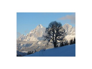 november,dezember 050