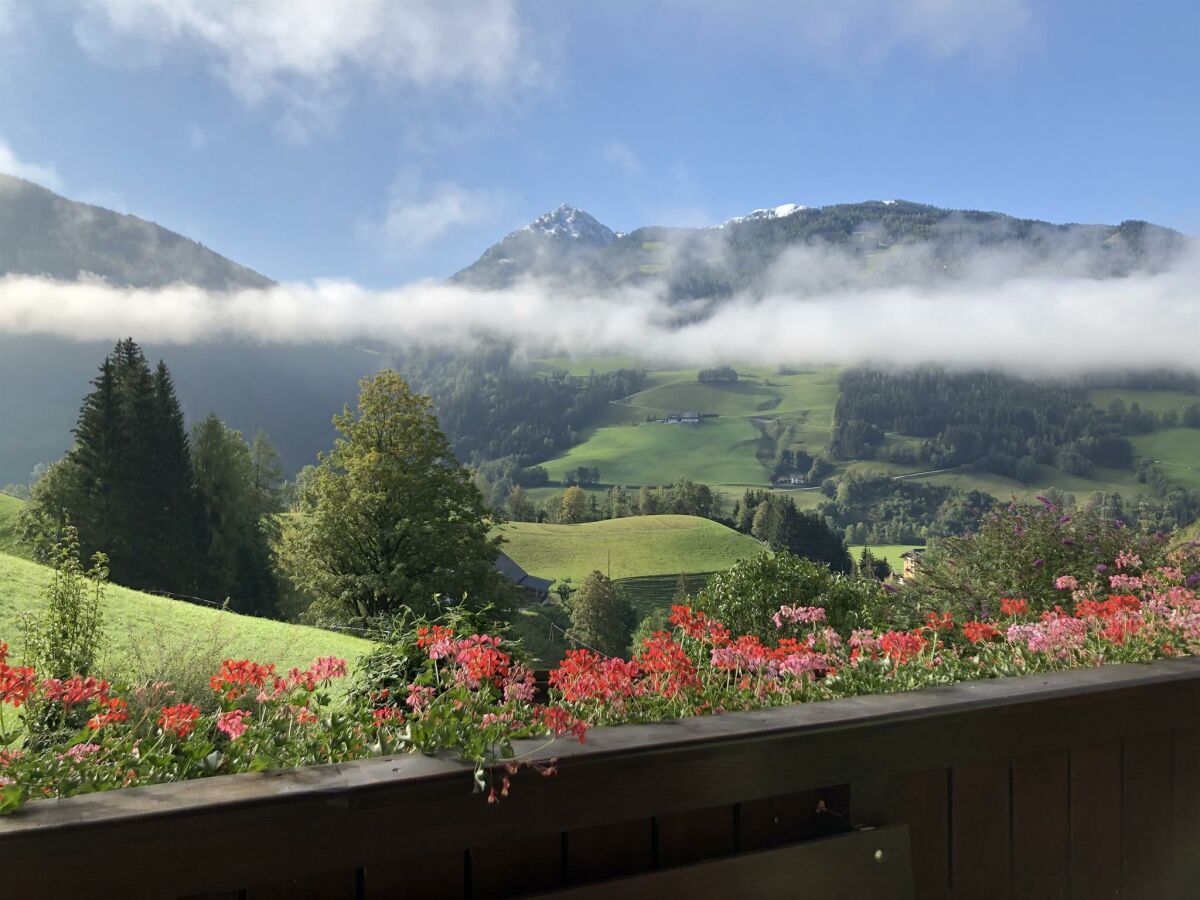 Ausblick im Spätsommer