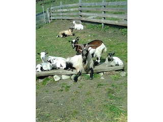 foto0138_001