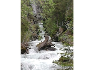 IMG_20190610_102051_BURST002