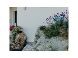 Lavendel und Eingang