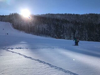 Blick Richtung Piste