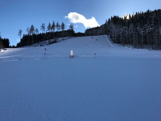 Blick Richtung Piste