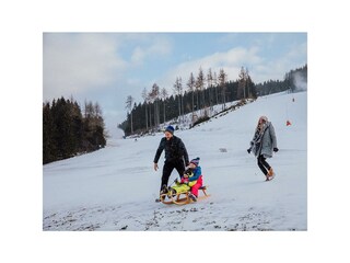 Familie mit Schlitten