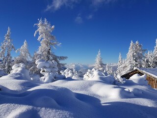 Hochwurzen Dezember