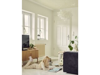 HausBachler_Almrausch_Detail