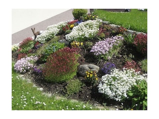 Haus mit Vorgarten 005