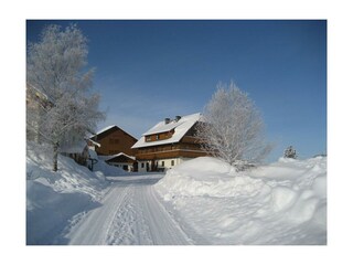 Winterfotos 2012 002